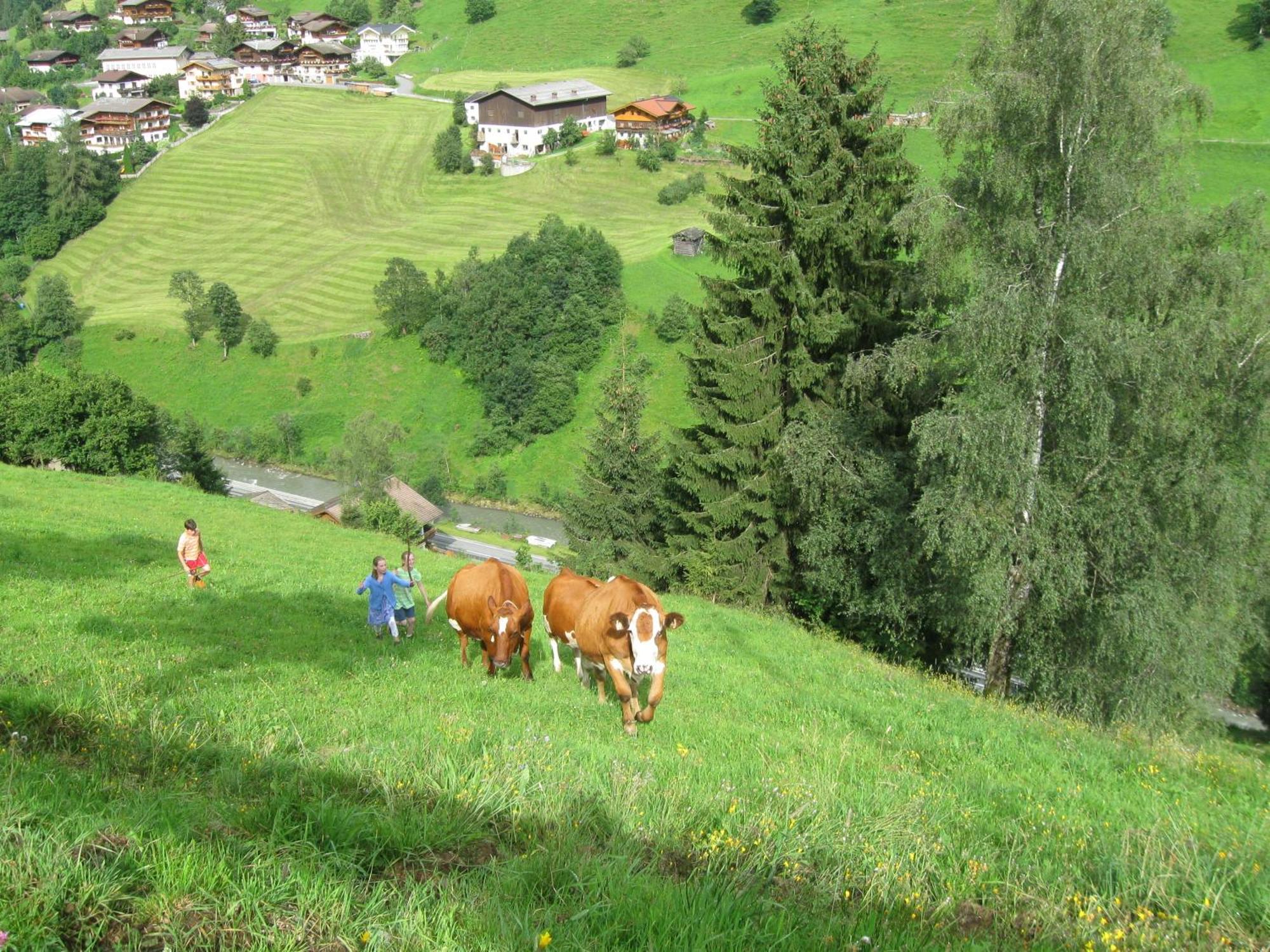 Schaidreithof Grossarl Exterior photo